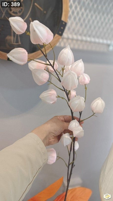 عرق ورد توليب طويل حبه كبيره طول 1 متر